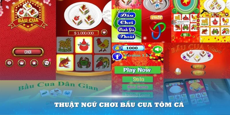 Cách chơi Bầu Cua Tôm Cá thông qua thuật ngữ